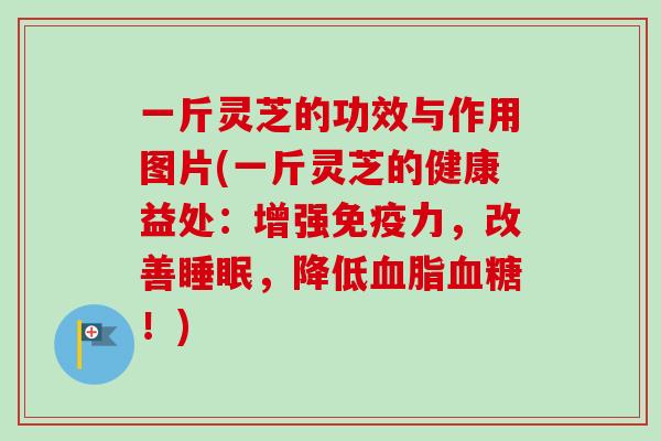 一斤灵芝的功效与作用图片(一斤灵芝的健康益处：增强免疫力，改善睡眠，降低血脂血糖！)