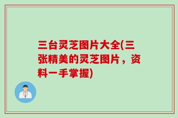 三台灵芝图片大全(三张精美的灵芝图片，资料一手掌握)