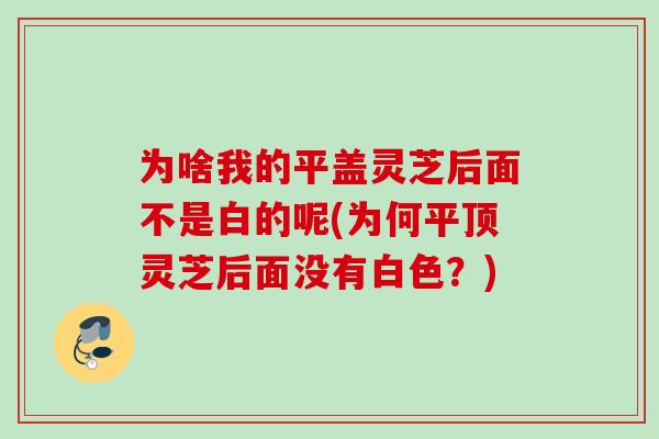 为啥我的平盖灵芝后面不是白的呢(为何平顶灵芝后面没有白色？)
