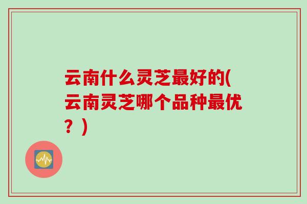 云南什么灵芝最好的(云南灵芝哪个品种最优？)