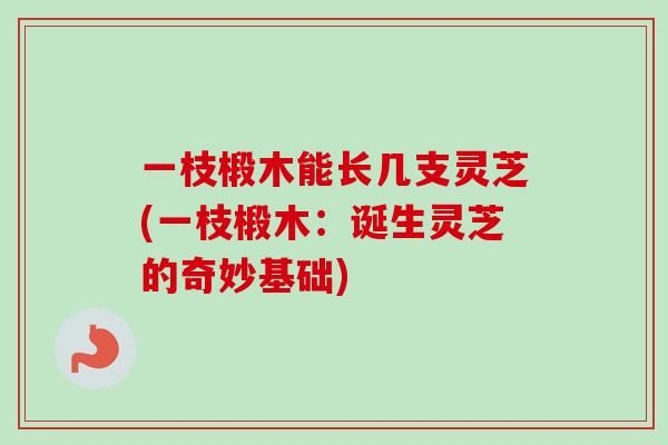 一枝椴木能长几支灵芝(一枝椴木：诞生灵芝的奇妙基础)