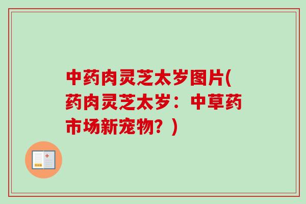 中药肉灵芝太岁图片(药肉灵芝太岁：中草药市场新宠物？)