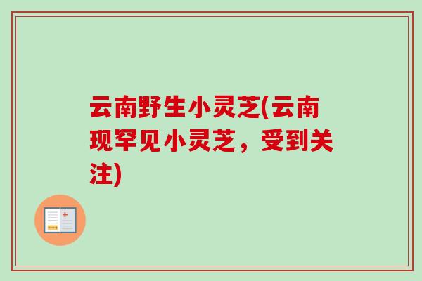 云南野生小灵芝(云南现罕见小灵芝，受到关注)