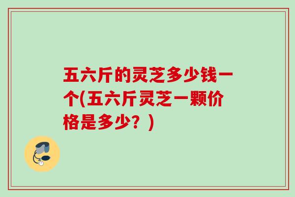 五六斤的灵芝多少钱一个(五六斤灵芝一颗价格是多少？)