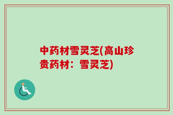 中药材雪灵芝(高山珍贵药材：雪灵芝)