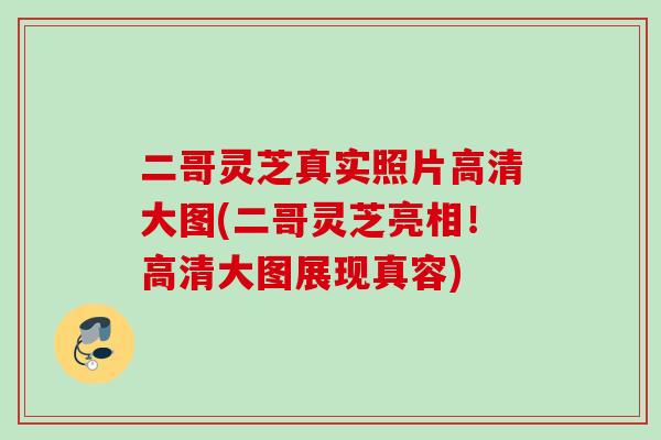 二哥灵芝真实照片高清大图(二哥灵芝亮相!高清大图展现真容) 二哥灵芝真实照片高清大图(二哥灵芝亮相!高清大图展现真容)