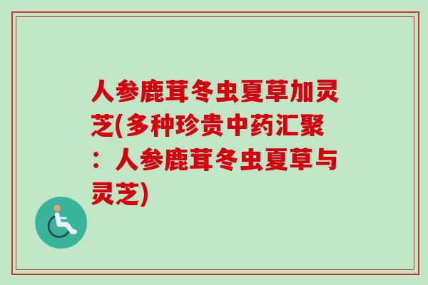 人参鹿茸冬虫夏草加灵芝(多种珍贵中药汇聚：人参鹿茸冬虫夏草与灵芝)