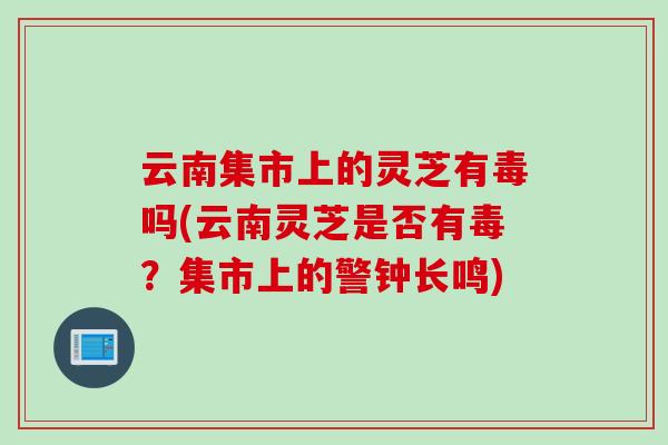 云南集市上的灵芝有毒吗(云南灵芝是否有毒？集市上的警钟长鸣)
