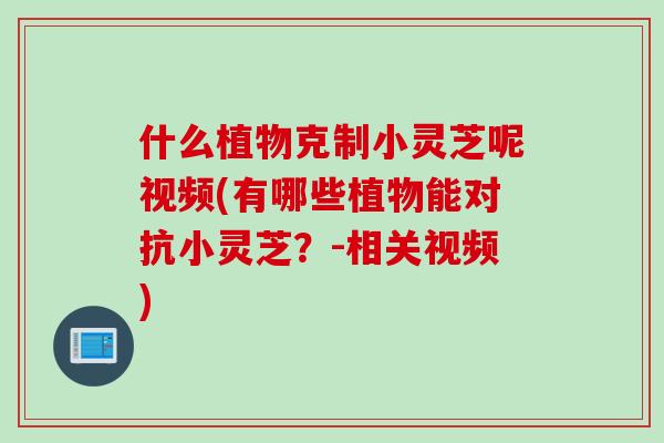 什么植物克制小灵芝呢视频(有哪些植物能对抗小灵芝？-相关视频)