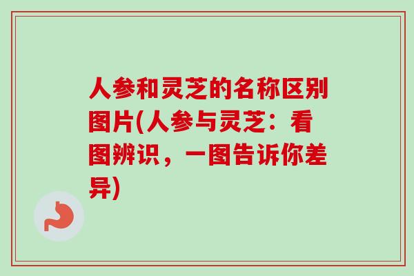 人参和灵芝的名称区别图片(人参与灵芝：看图辨识，一图告诉你差异)
