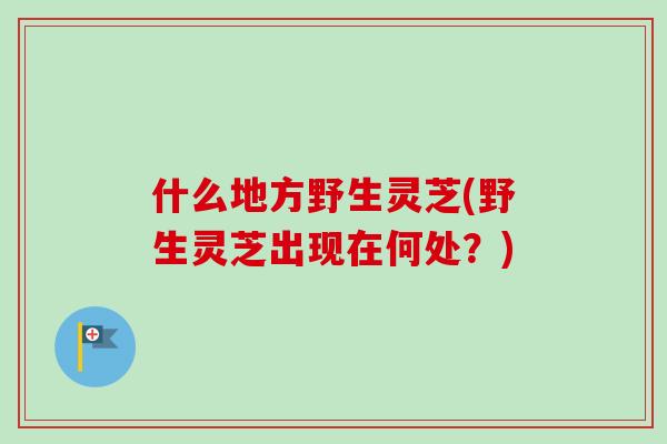 什么地方野生灵芝(野生灵芝出现在何处？)