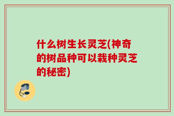 什么树生长灵芝(神奇的树品种可以栽种灵芝的秘密)