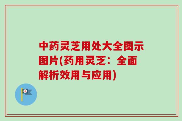 中药灵芝用处大全图示图片(药用灵芝：全面解析效用与应用)