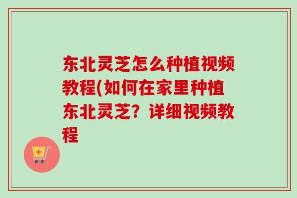 东北灵芝怎么种植视频教程(如何在家里种植东北灵芝？详细视频教程