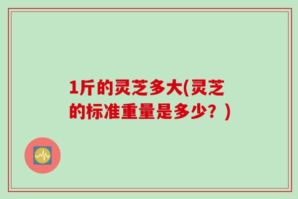 1斤的灵芝多大(灵芝的标准重量是多少？)