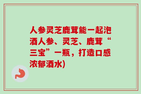 人参灵芝鹿茸能一起泡酒人参、灵芝、鹿茸“三宝”一瓶，打造口感浓郁酒水)