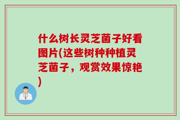 什么树长灵芝菌子好看图片(这些树种种植灵芝菌子，观赏效果惊艳)