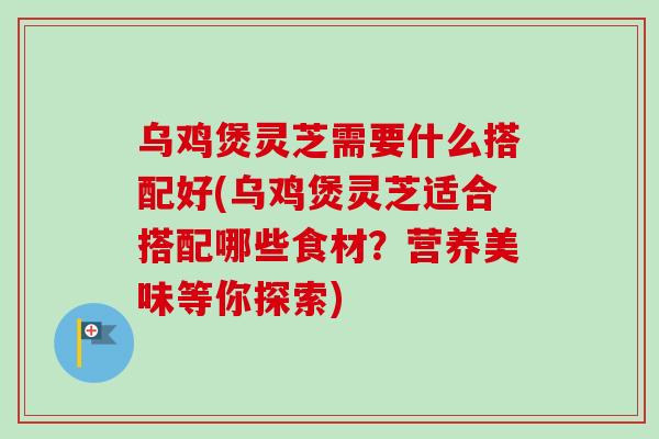乌鸡煲灵芝需要什么搭配好(乌鸡煲灵芝适合搭配哪些食材？营养美味等你探索)