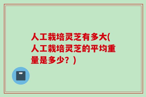 人工栽培灵芝有多大(人工栽培灵芝的平均重量是多少?) 人工栽培灵芝有多大(人工栽培灵芝的平均重量是多少?)