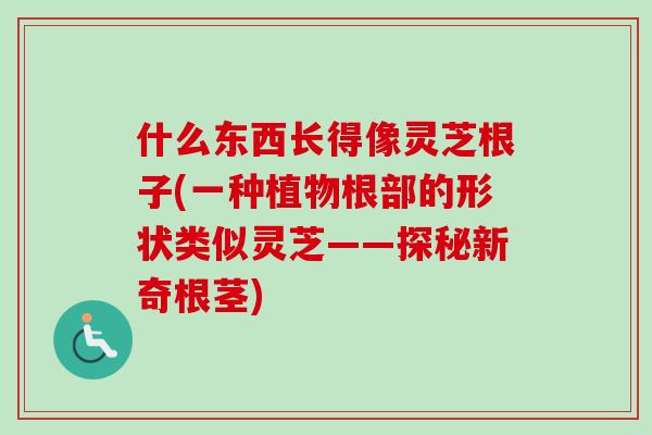 什么东西长得像灵芝根子(一种植物根部的形状类似灵芝——探秘新奇根茎) 什么东西长得像灵芝根子(一种植物根部的形状类似灵芝——探秘新奇根茎)