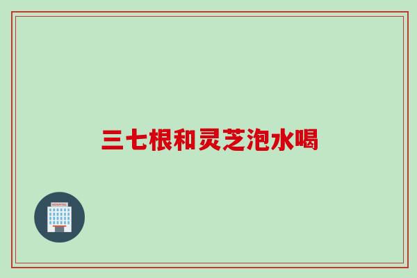 三七根和灵芝泡水喝