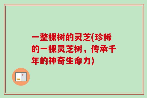 一整棵树的灵芝(珍稀的一棵灵芝树，传承千年的神奇生命力)