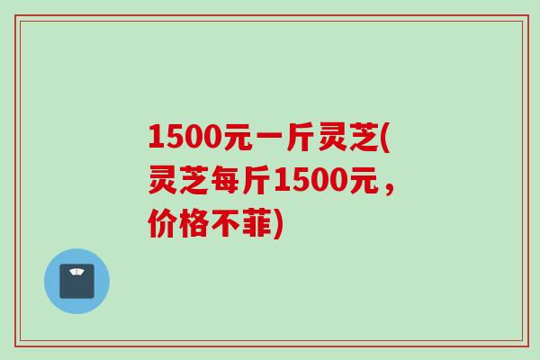 1500元一斤灵芝(灵芝每斤1500元，价格不菲)
