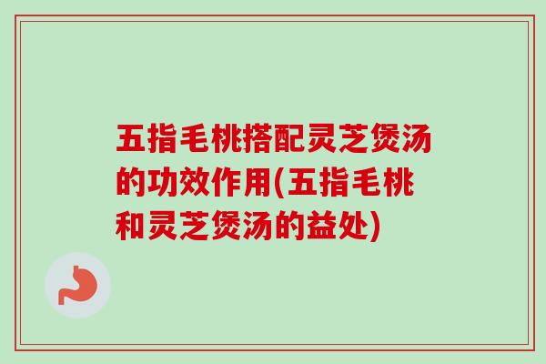 五指毛桃搭配灵芝煲汤的功效作用(五指毛桃和灵芝煲汤的益处)