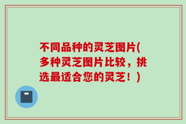 不同品种的灵芝图片(多种灵芝图片比较，挑选最适合您的灵芝！)