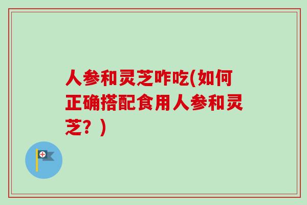 人参和灵芝咋吃(如何正确搭配食用人参和灵芝？)
