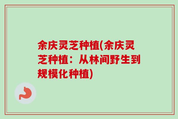余庆灵芝种植(余庆灵芝种植：从林间野生到规模化种植)