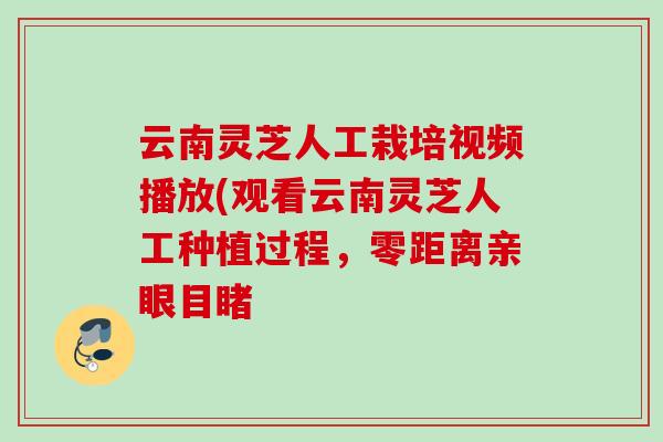 云南灵芝人工栽培视频播放(观看云南灵芝人工种植过程，零距离亲眼目睹