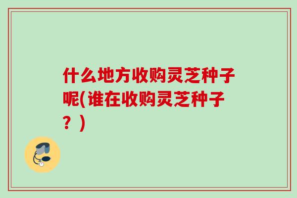 什么地方收购灵芝种子呢(谁在收购灵芝种子？)