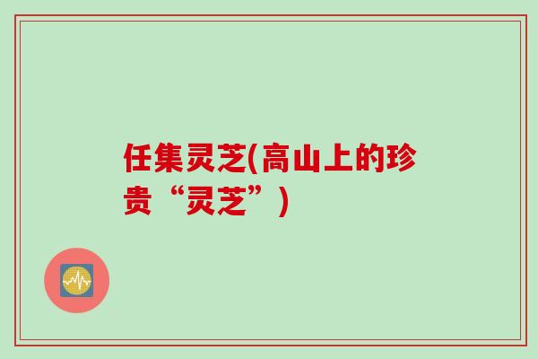 任集灵芝(高山上的珍贵“灵芝”)
