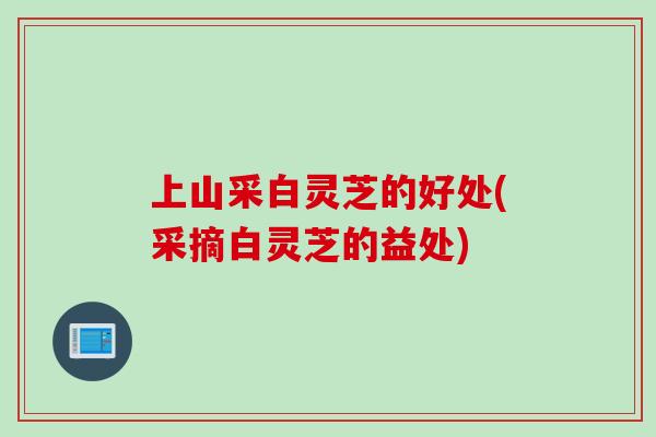 上山采白灵芝的好处(采摘白灵芝的益处)