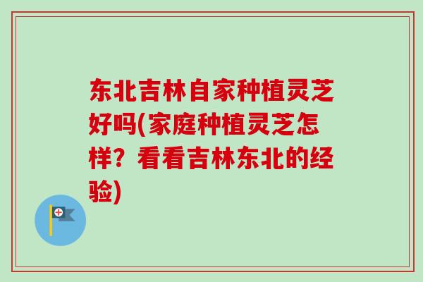 东北吉林自家种植灵芝好吗(家庭种植灵芝怎样？看看吉林东北的经验)