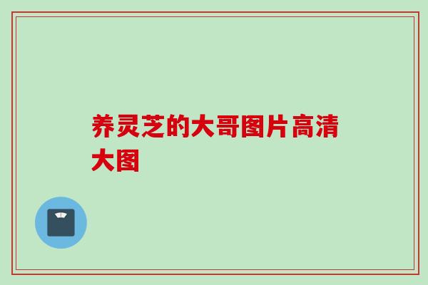 养灵芝的大哥图片高清大图