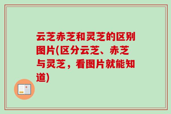 云芝赤芝和灵芝的区别图片(区分云芝、赤芝与灵芝，看图片就能知道)