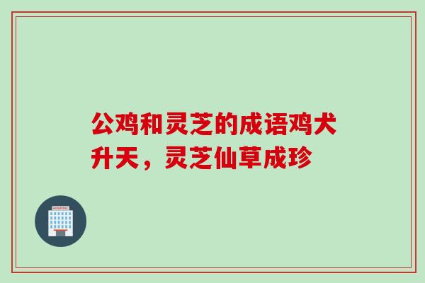 公鸡和灵芝的成语鸡犬升天，灵芝仙草成珍