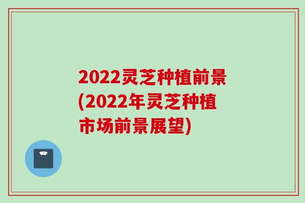 2022灵芝种植前景(2022年灵芝种植市场前景展望) 2022灵芝种植前景(2022年灵芝种植市场前景展望)