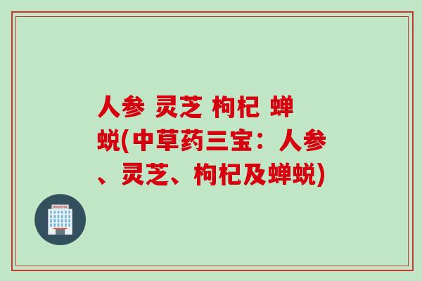 人参 灵芝 枸杞 蝉蜕(中草药三宝：人参、灵芝、枸杞及蝉蜕)