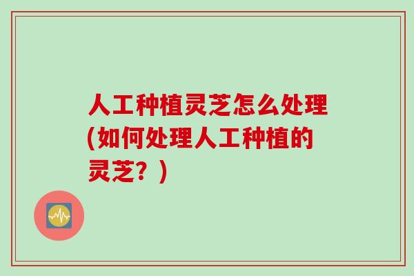 人工种植灵芝怎么处理(如何处理人工种植的灵芝?) 人工种植灵芝怎么处理(如何处理人工种植的灵芝?)