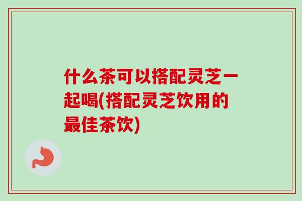什么茶可以搭配灵芝一起喝(搭配灵芝饮用的最佳茶饮)