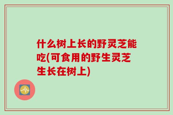 什么树上长的野灵芝能吃(可食用的野生灵芝生长在树上)
