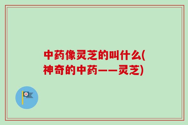 中药像灵芝的叫什么(神奇的中药——灵芝)