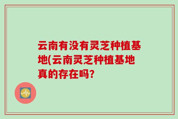 云南有没有灵芝种植基地(云南灵芝种植基地真的存在吗？