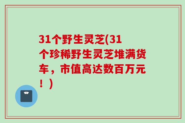 31个野生灵芝(31个珍稀野生灵芝堆满货车，市值高达数百万元！)