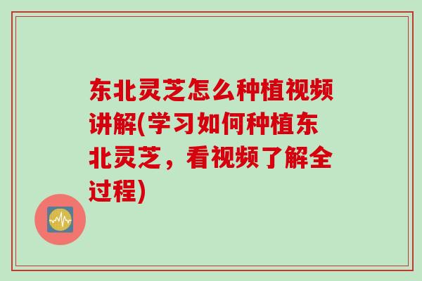东北灵芝怎么种植视频讲解(学习如何种植东北灵芝，看视频了解全过程)