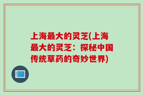 上海最大的灵芝(上海最大的灵芝：探秘中国传统草药的奇妙世界)