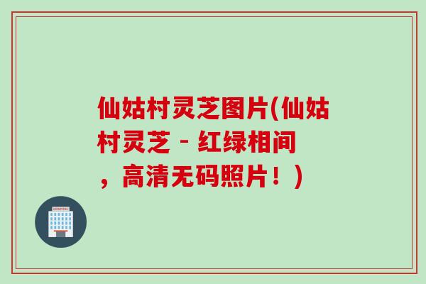 仙姑村灵芝图片(仙姑村灵芝 - 红绿相间，高清无码照片！)
